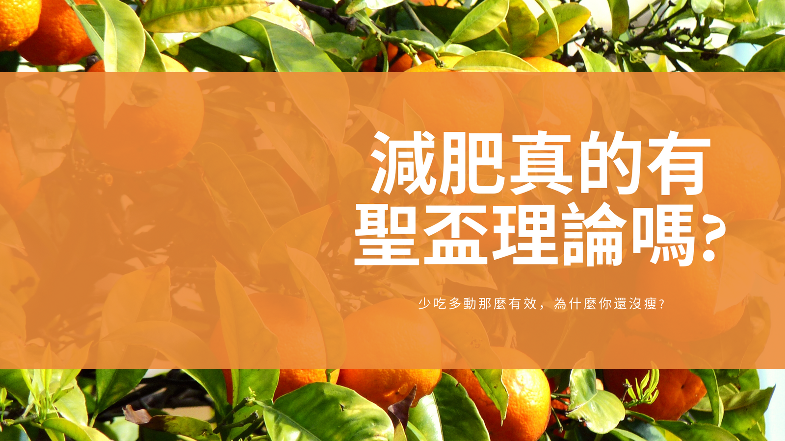 減肥不難，只是跟你想的不一樣，不是靠少吃多動，美國節目減肥達人 The biggest loser 的故事
