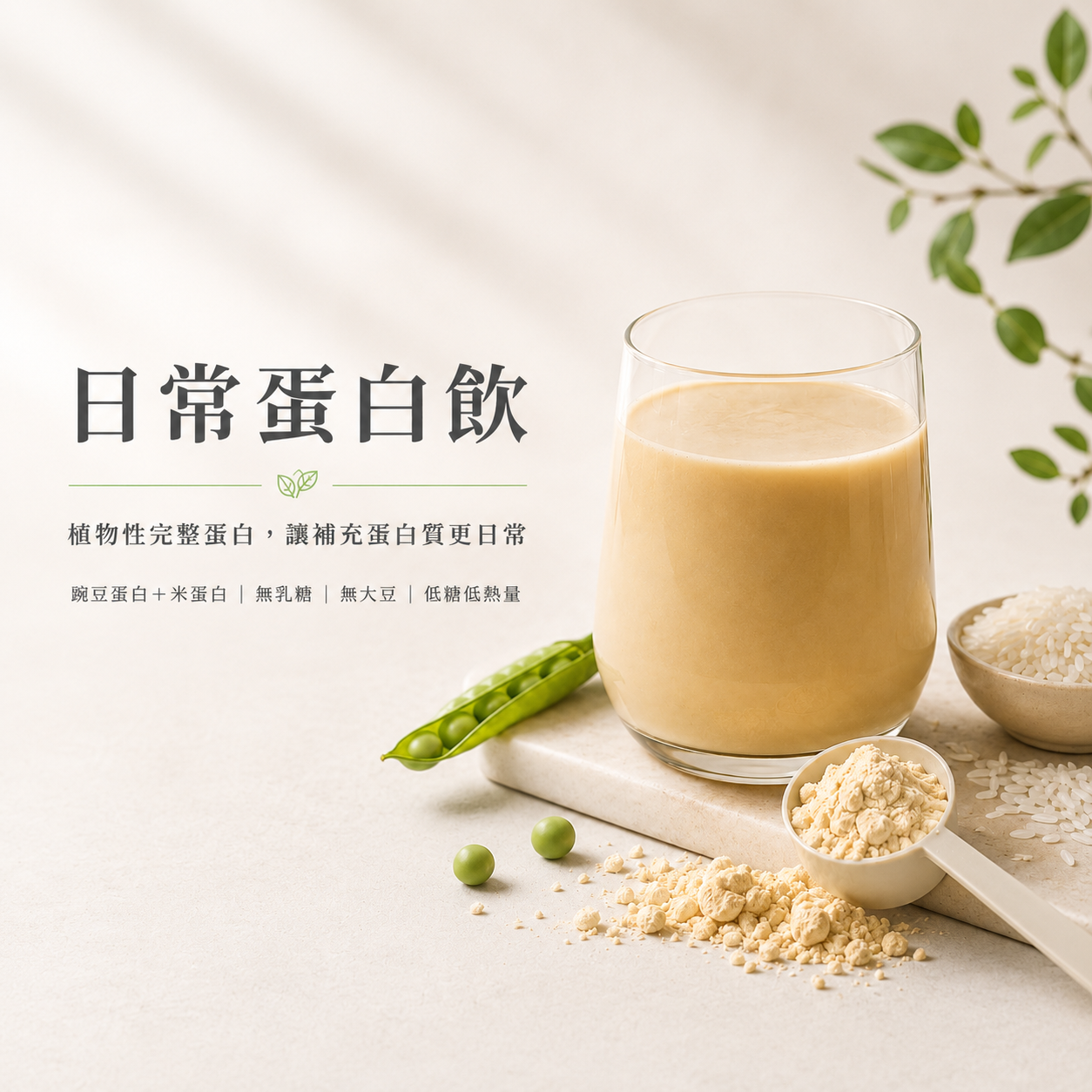 日常蛋白飲｜植物性完整蛋白粉，無乳糖、無大豆