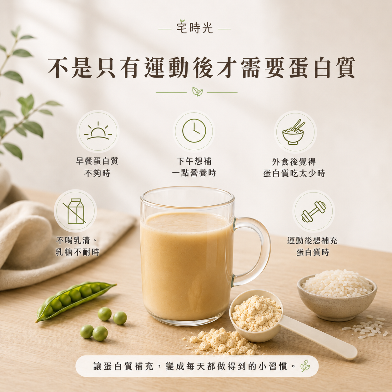 日常蛋白飲｜植物性完整蛋白粉，無乳糖、無大豆